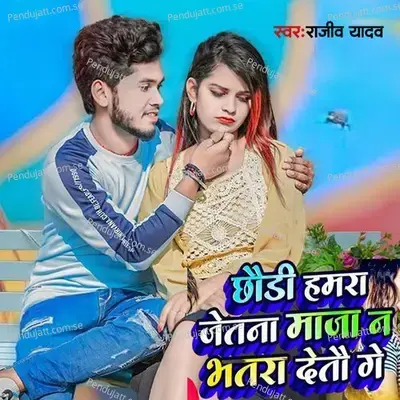 Chhaudi Hamara Jetna Maja Na Bhatra Detau Ge - Rajiv Yadav album cover 