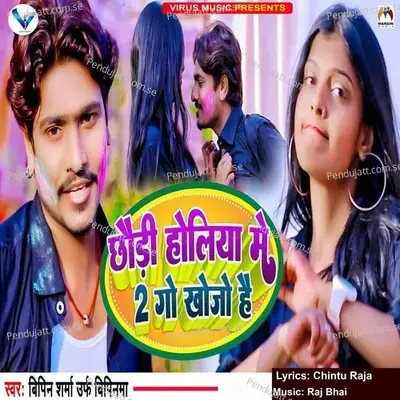 Chhaudi Holiya Me 2 Go Khojo Hai - Bipin Sharma Urf Bipinma album cover 