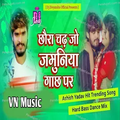 Chhaura Chat Jo Jamuniya Gachh Par - Ashish Yadav album cover 