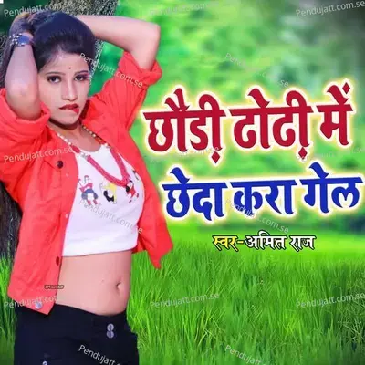 Chhauri Dhodhi Me Chheda Kara Gel - Amitraj