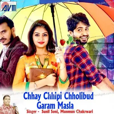 Chhay Chhipi Chholibud Garam Masla - Sunil Soni album cover 