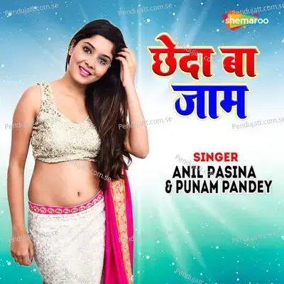 Chheda Ba Jam - Anil Pasina album cover 