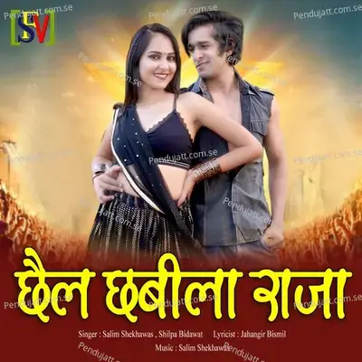 Chhel Chhabila Raja - Salim Shekhawas