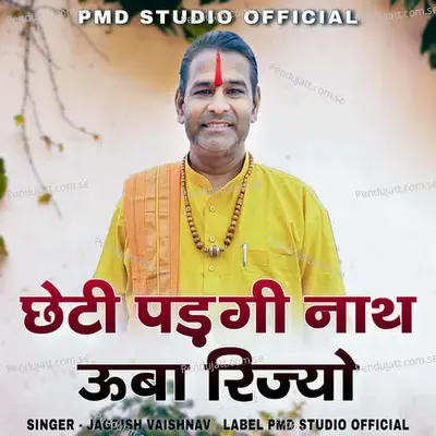 Chheti Padagi Nath Uba Rijyo - Jagdish Vaishnav album cover 