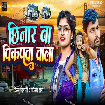 Chhinar Ba Pickupwa Wala - Dillu Dimagi album cover 