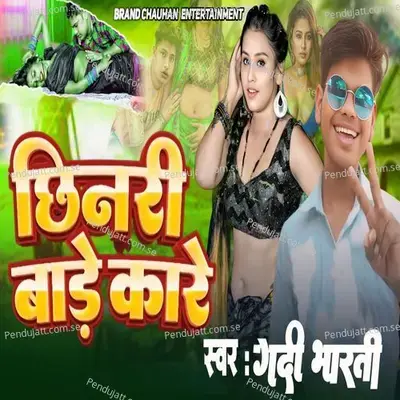 Chhinari Bare Kare - Godi Bharti album cover 