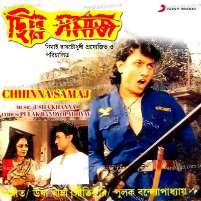 Chhinna Samaj (Original Motion Picture Soundtrack) - Usha Khanna cover album