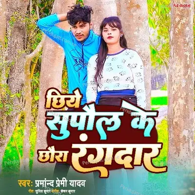 Chhiye Supaul Ke Chhaura Rangdar - Parmanand Premi Yadav album cover 