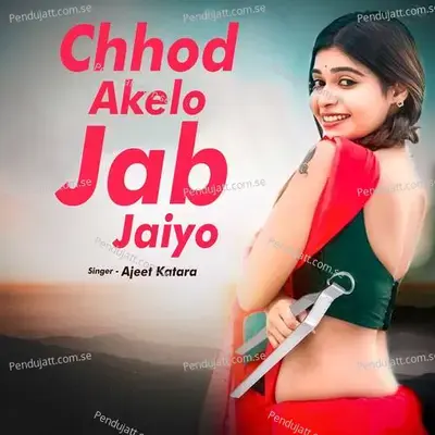 Chhod Akelo Jab Jaiyo - Ajeet Katara album cover 