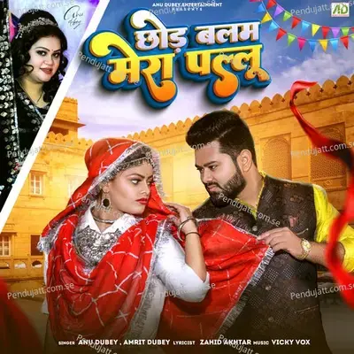 Chhod Balam Mera Pallu - Anu Dubey album cover 
