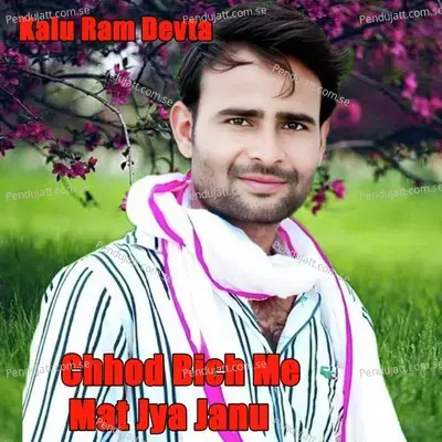 Chhod Bich Me Mat Jya Janu - Kalu Ram Devta album cover 