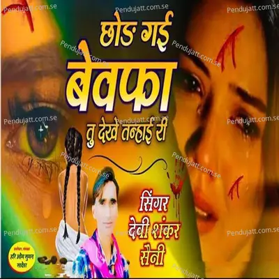 Chhod Gayi Bewafa Tu Dekhe Tanhai Ri - Devi Shankar Saini album cover 