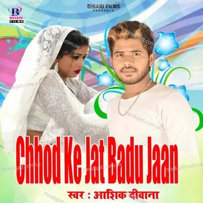 Chhod Ke Jat Badu Jaan - Ashiq Deewana album cover 