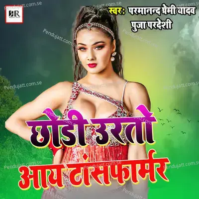 Chhodi Urto Aay Transformer - Parmanand Premi Yadav album cover 