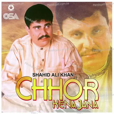 Mere Gham Ki Kahani Thi - Shahid Ali Khan album cover 