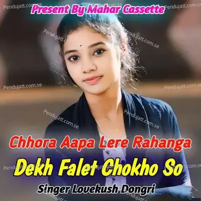 Chhora Aapa Lere Rahanga Dekh Falet Chokho So - Lovekush Dungri album cover 