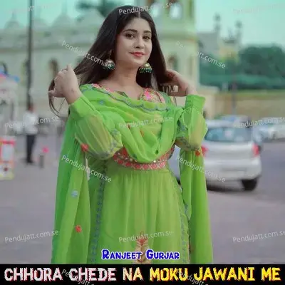 Chhora Chede Na Moku Jawani Me - Ranjeet Gurjar album cover 