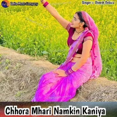 Chhora Mhari Namkin Kaniya - Dinesh Dekwa album cover 