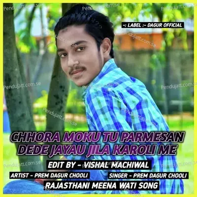 Chhora Moku Tu Parmesan Dede Jayau Jila Karoli Me - PREM DAGUR CHOOLI album cover 