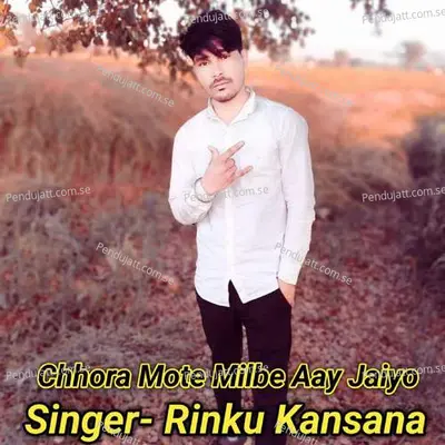 Chhora Mote Milbe Aay Jaiyo - Rinku kansana album cover 