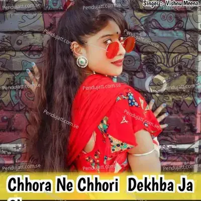 Chhora Ne Chhori Dekhba Ja Ch - Vishnu Meena album cover 