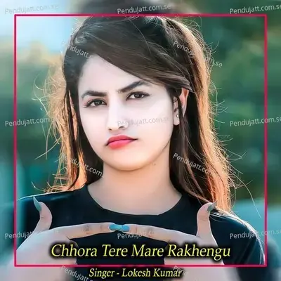 Chhora Tere Mare Rakhengu - Lokesh Kumar album cover 