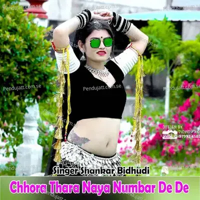 Chhora Thara Naya Numbar De De - Shankar Bidhudi