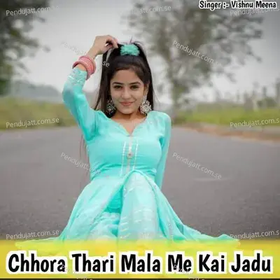 Chhora Thari Mala Me Kai Jadu - Vishnu Meena album cover 