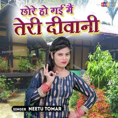 Chhore Ho Gai Mai Teri Deewani - Neetu Tomar album cover 
