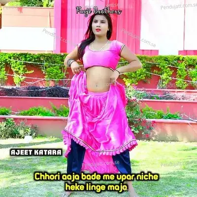 Chhori Aaja Bade Me Upar Niche Heke Linge Maja - Fauji Brothers