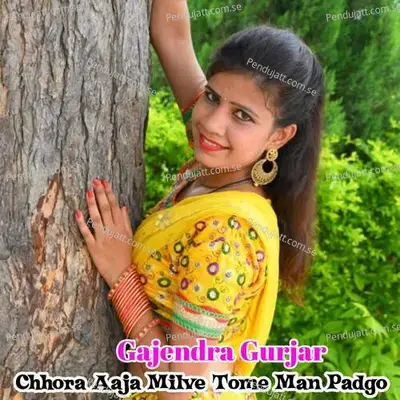 Chhori Aaja Mailve Tome Man Padgo - Bharat Kasana