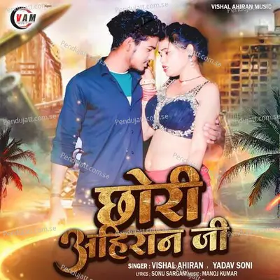 Chhori Ahiraan Ji - Vishal Ahiran album cover 