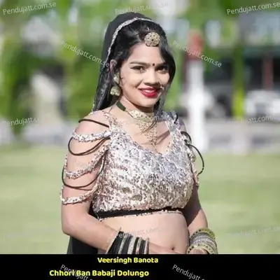Chhori Ban Babaji Dolungo - Veersingh Banota album cover 