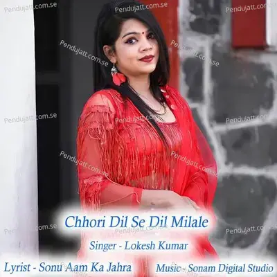Chhori Dil Se Dil Milale - Sonam Digital Studio