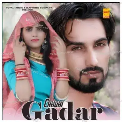 Chhori Gadar Mewati Haryanvi Song - Wasim Akram Alwar ( cover album