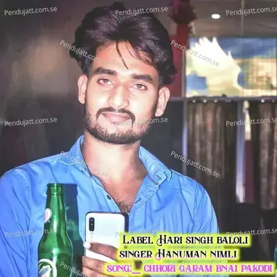 Chhori Garam Bnai Pakodi - Hari Singh Baloli album cover 