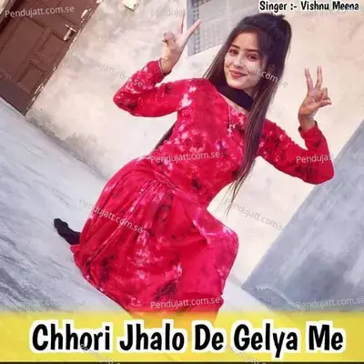 Chhori Jhalo De Gelya Me - Vishnu Meena album cover 