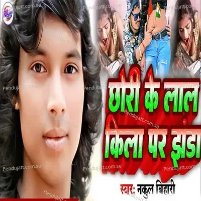 Chhori Ke Lal Kila Par Jhanda - Nakul Bihari album cover 
