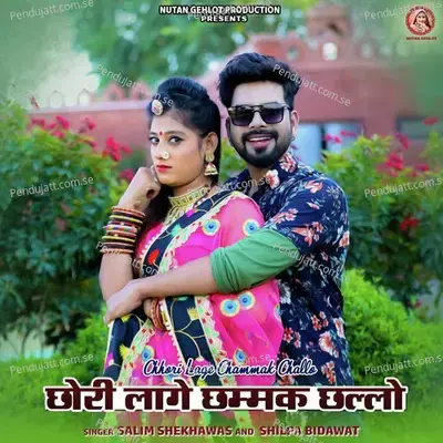 Chhori Lage Chammak Challo - Salim Shekhawas album cover 