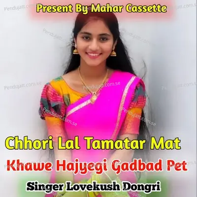 Chhori Lal Tamater Mat Khawe Hajyegi Gadbad Pet - Lovekush Dungri album cover 