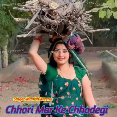 Chhori Mar Ke Chhodegi - Manish Meena album cover 