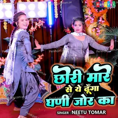 Chhori Mare Se Ye Dhunga Ghani Jor Ka - Neetu Tomar album cover 