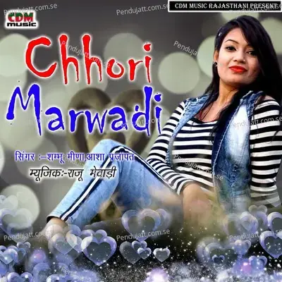 Chhori Marwadi - Shambhu Meena album cover 