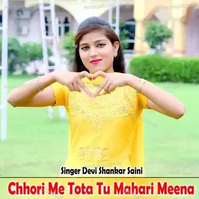 Chhori Me Tota Tu Mahari Meena - Devi Shankar Saini