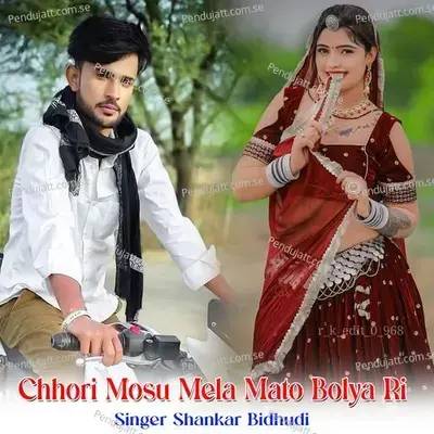 Chhori Mosu Mela Mato Bolya Ri - Shankar Bidhudi album cover 