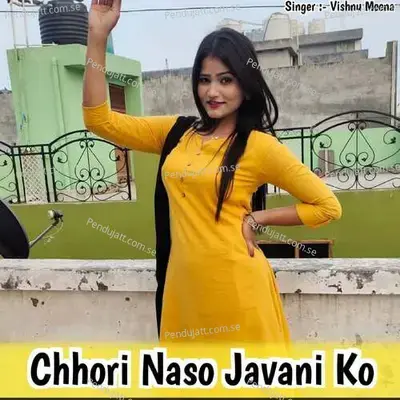Chhori Naso Javani Ko - Vishnu Meena album cover 