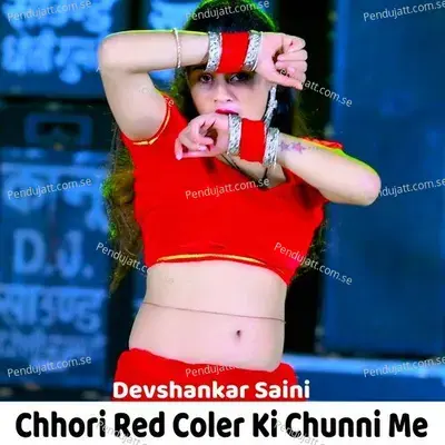 Tuta Hua Dil Hai Mera - Devi Shankar Saini album cover 