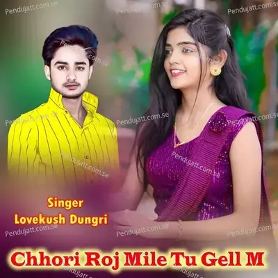 Chhori Roj Mile Tu Gell M - Lovekush Dungri album cover 