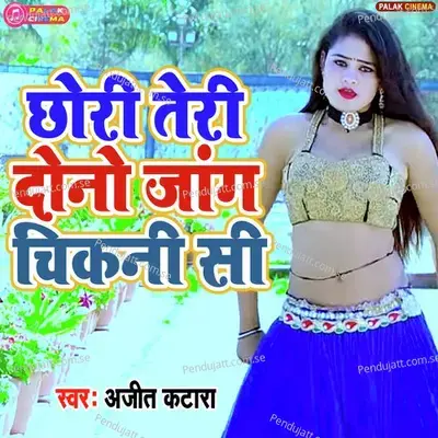 Chhori Teri Dono Jangh Chikani Si - Ajeet Katara album cover 