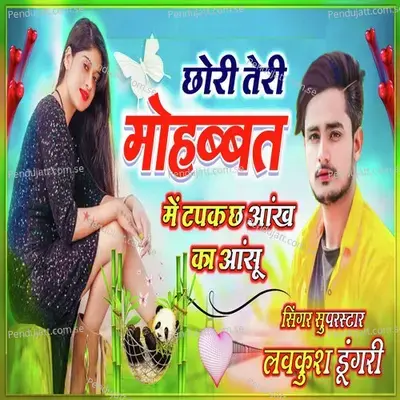 Chhori Teri Mohhbbat Me Tapke Aankh Ka Aansu - Lovekush Dungri